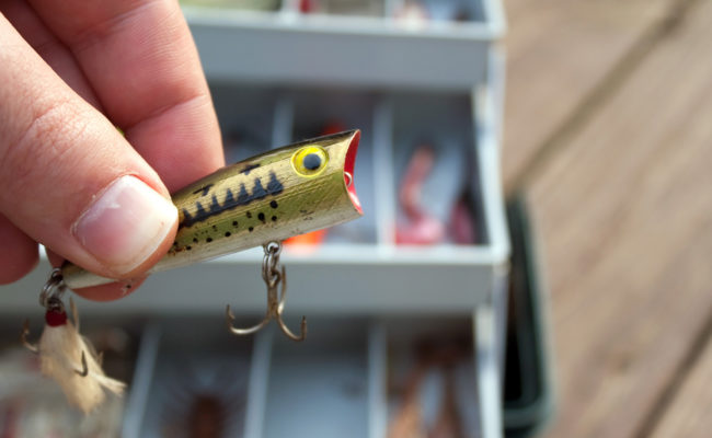 Fishing Lure Selection